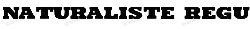 Naturaliste Regular字体转换